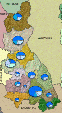 Ver mapa dinmico