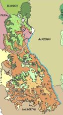 Ver mapa dinmico