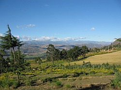 Cajamarca