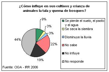 Influencia de tala y quema en los cultivos