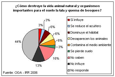 Influencia de tala y quema en la vida natural