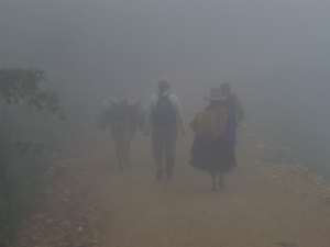 Neblina