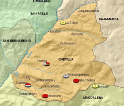 Enfermedades del ganado porcino