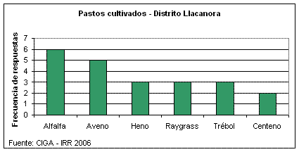 Pastos cultivados