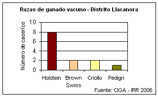 Razas de ganado vacuno