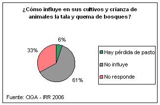 Influencia de tala y quema en los cultivos