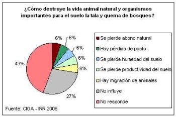 Influencia de tala y quema en la vida natural