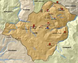 Especies forestales predominantes - Distrito Sucre