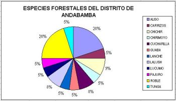 Extensión actual de bosques