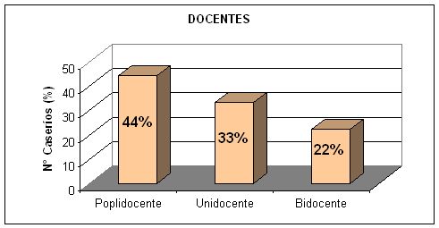 Docentes
