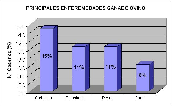 Principales enfermedades del ganado ovino