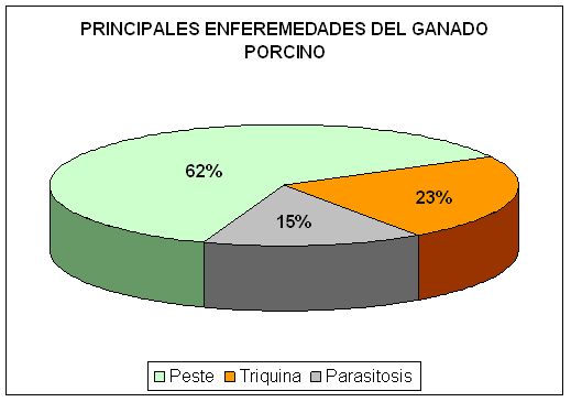 Principales enfermedades del porcino