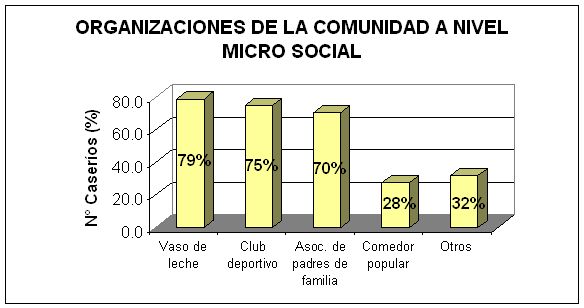 Organizaciones de la comunidad a nivel micro social