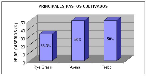 Principales pastos cultivados