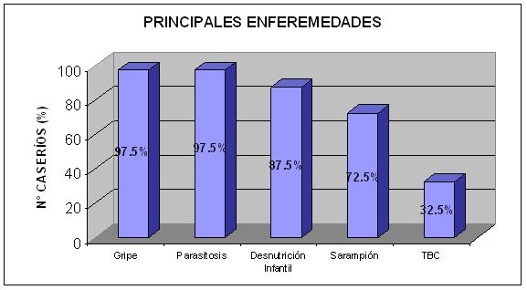 Principales enfermedades