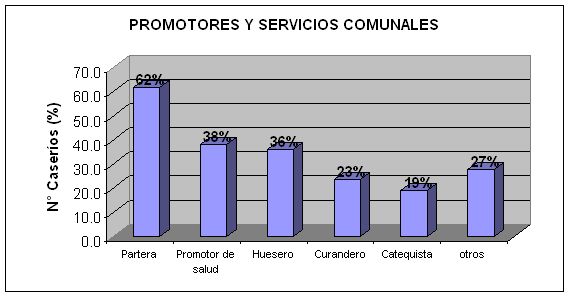 PROMOTORES Y SERVICIOS COMUNALES