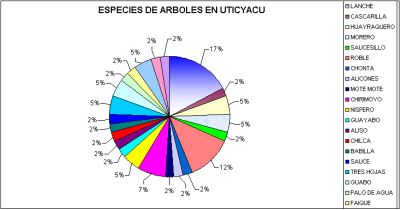 Especies de &aacute;rboles en Uticyacu