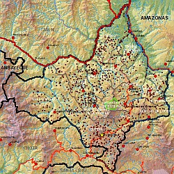 Ver mapa dinámico